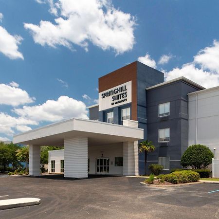 Springhill Suites By Marriott Baton Rouge South Bagian luar foto